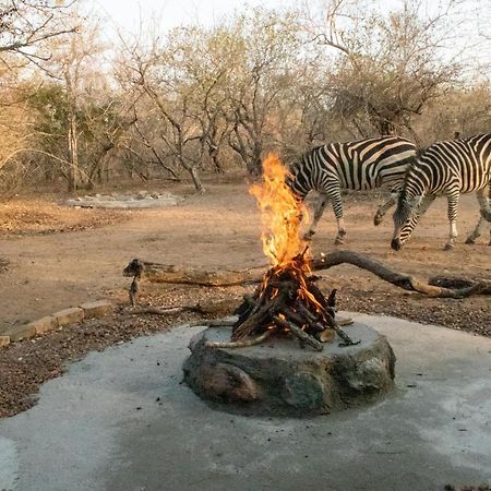 Hello Kruger Hideaway Cottage & Skilpad Studio Marloth Park Exterior foto