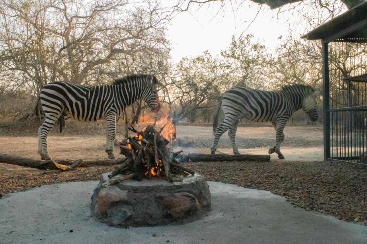Hello Kruger Hideaway Cottage & Skilpad Studio Marloth Park Exterior foto